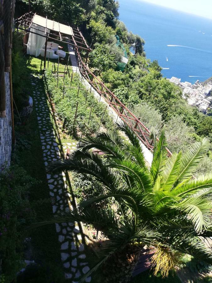 Villa Graziella Positano "A Piece Of Paradise" Екстер'єр фото